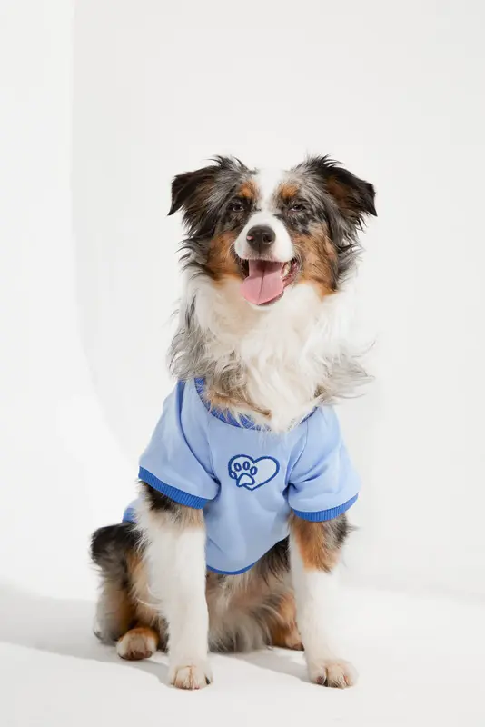 Amalfi Köpek T-Shirt - Mavi