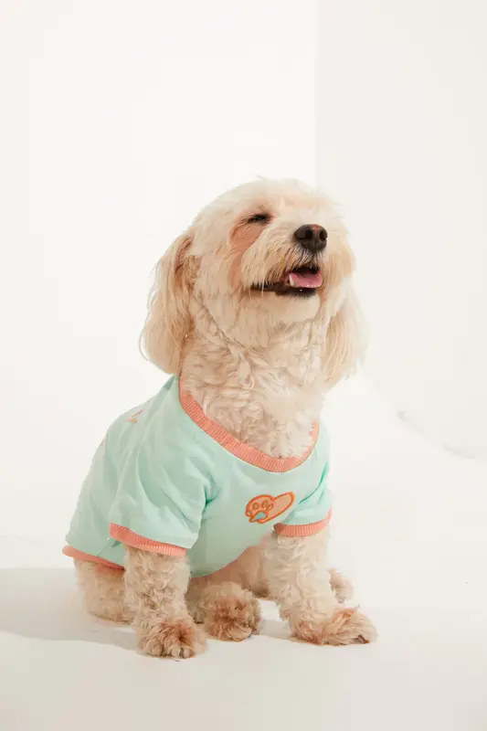 Amalfi Köpek T-Shirt - Su Yeşili