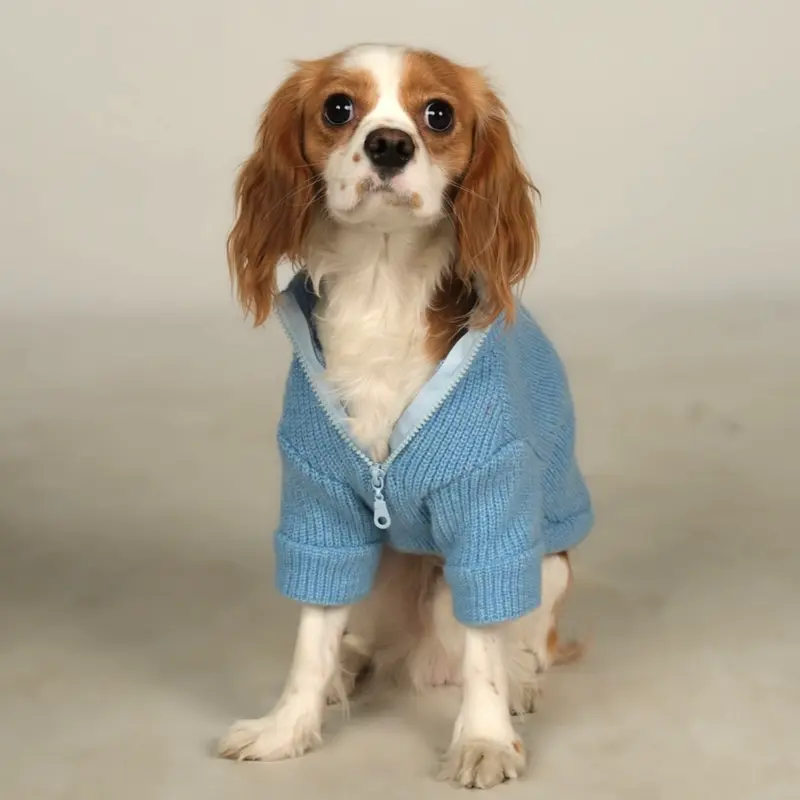 Basic Mavi Triko Köpek Kazak