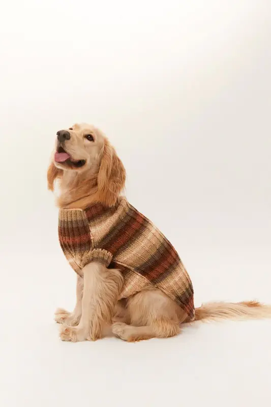 Bergamo Köpek Kazak - Kahverengi