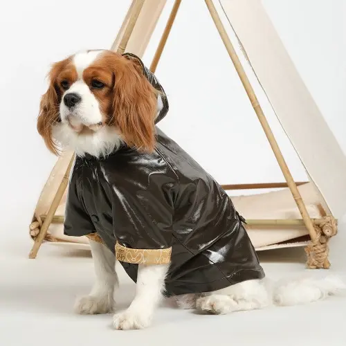 Chic Amazon Haki Rugan köpek Yağmurluk