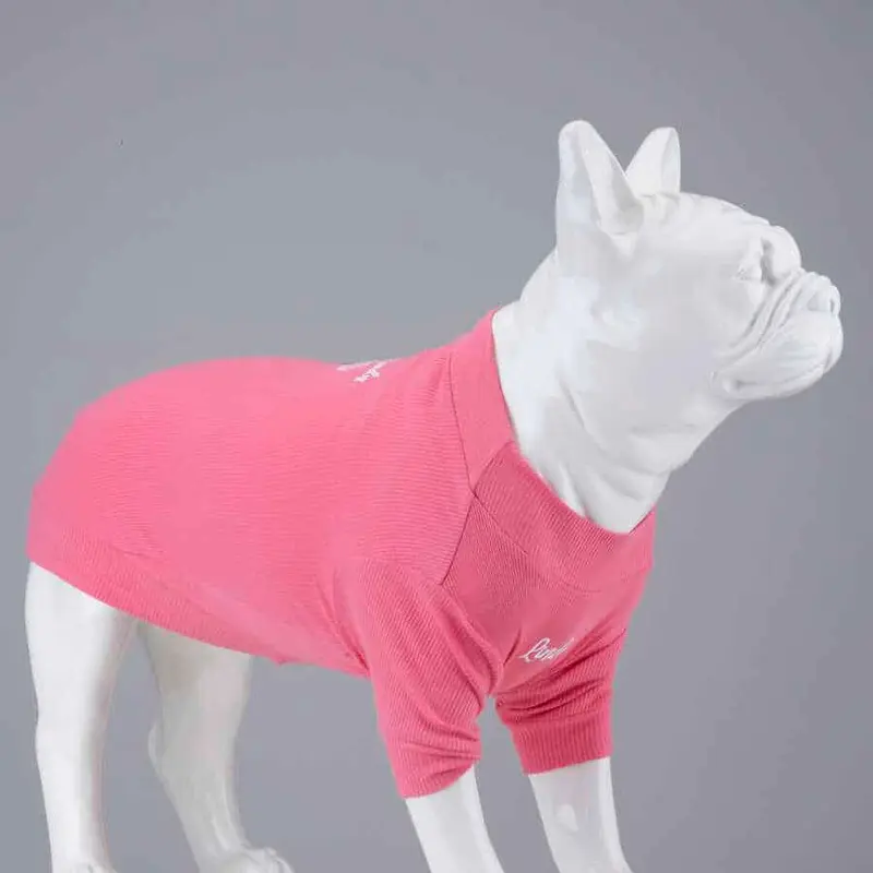 COTTON DOG CANDY