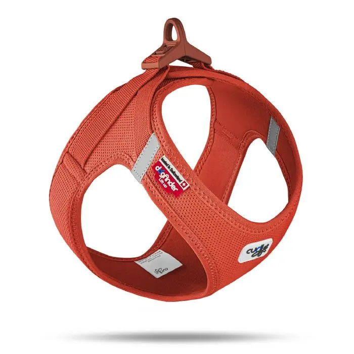 CURLI VEST KÖPEK HARNESS CURLI CLASP AIR-MESH SUN ORANGE