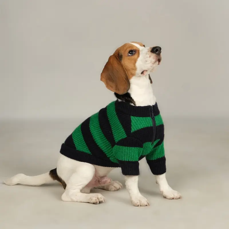 Dalton Lacivert Yeşil Çizgili Köpek Kazak
