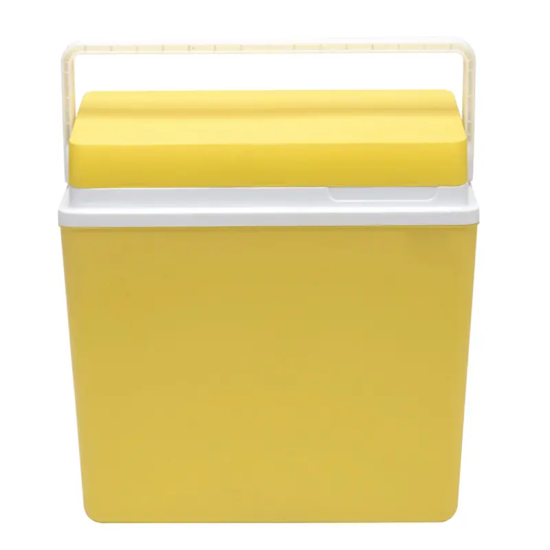 Icepeak SF25 Buzluk 25 Litre-SARI