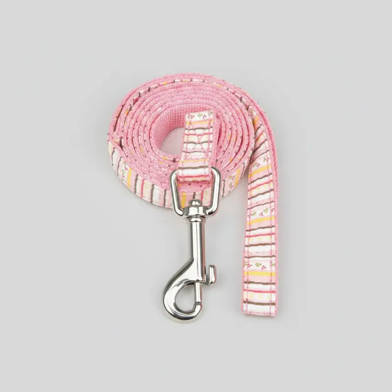 Joie Leash