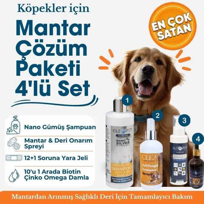 Köpek Mantar ve Deri Onarım 4’lü Çözüm Paketi - Kaşıntı Giderici ve Doku Yapılandırıcı Kit