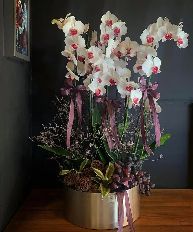Metal vazo içerisinde 8 dal Phalaenopsis Orkide