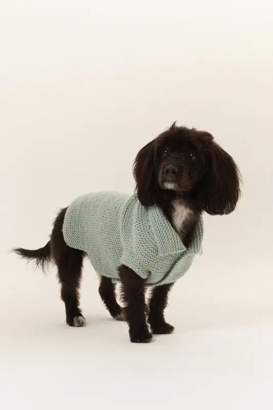Milano Köpek Kazak - Su Yeşili