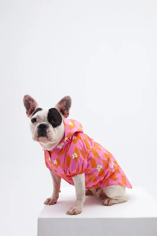 Orange Pink Checkered Köpek Yağmurluk