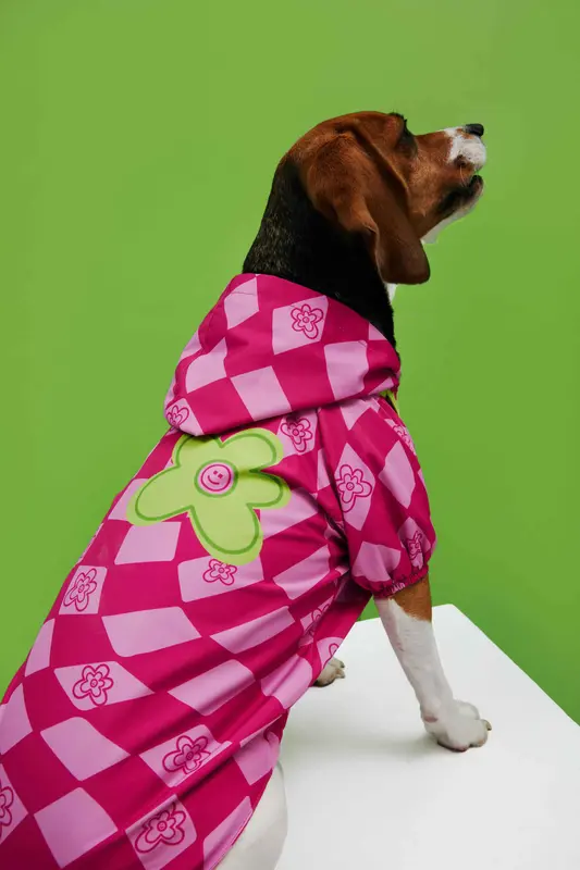 Pink Checkered Köpek Yağmurluk