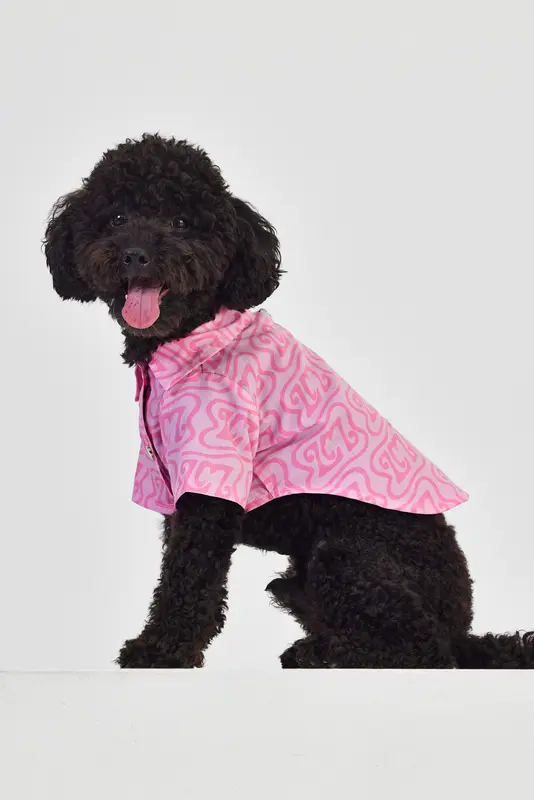 Pink LM Köpek Gömlek