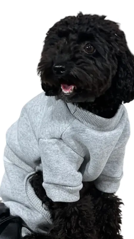 SWEAT KÖPEK SLOPET