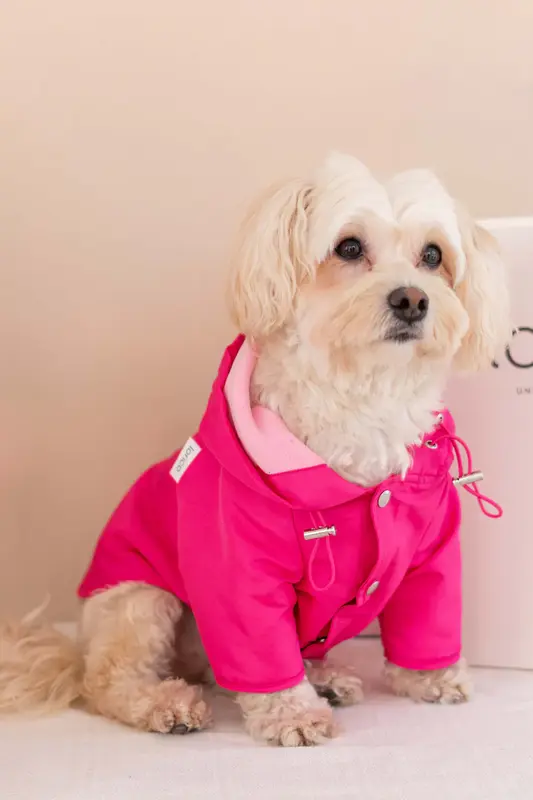 Torino Bright Köpek Yağmurluk - Pembe