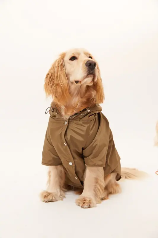 Torino Köpek Yağmurluk - Haki