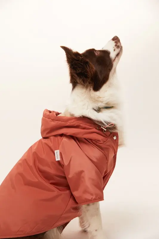 Torino Köpek Yağmurluk - Tarçın