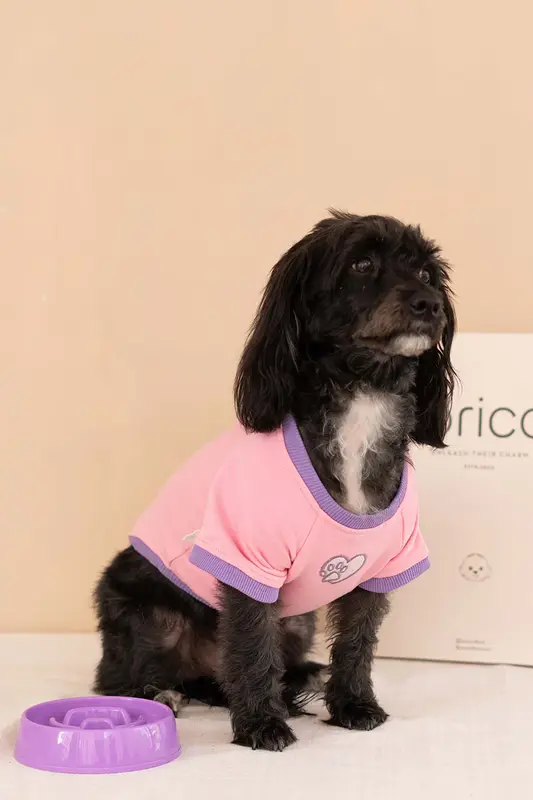 Trieste Köpek Sweatshirt - Pembe