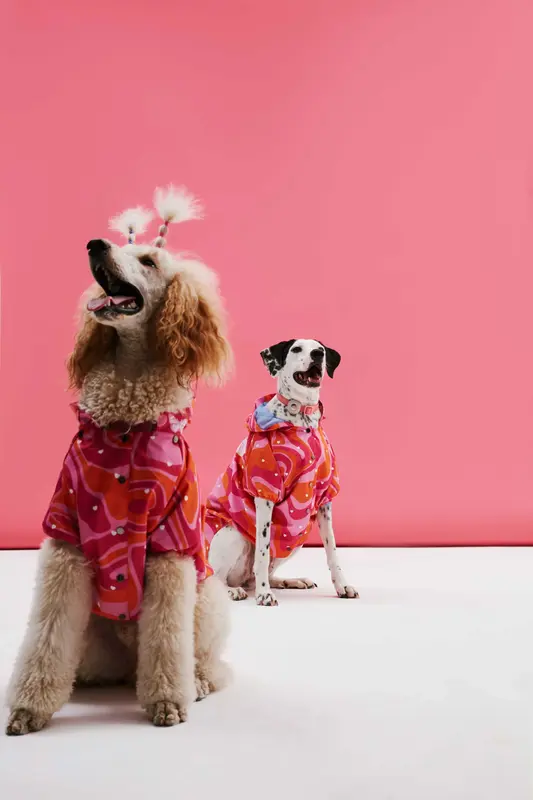 Turuncu Pembe Dalgalı Köpek Yağmurluk