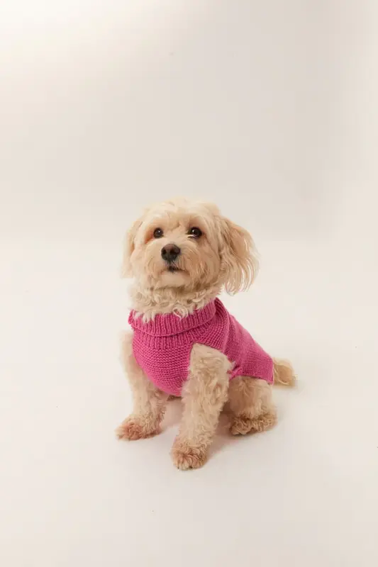 Verona Köpek Kazak - Pembe