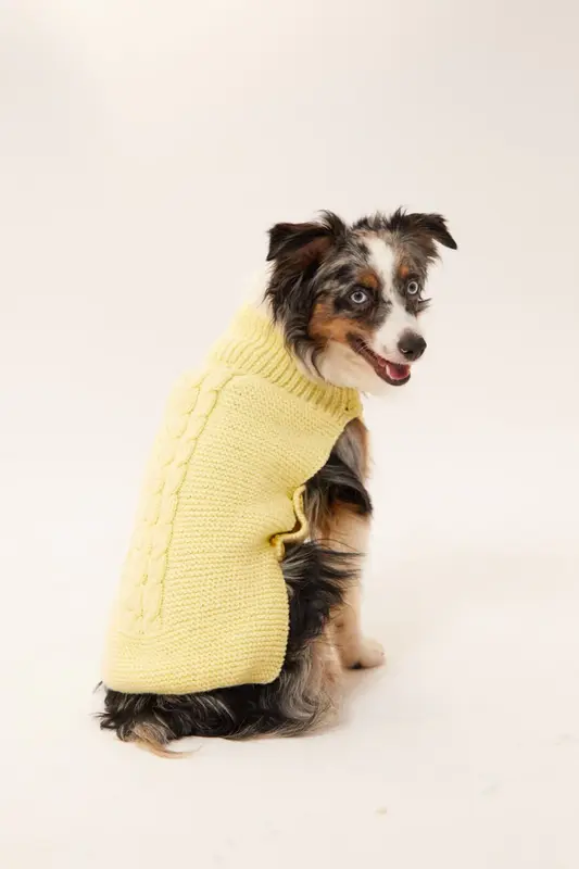Verona Köpek Kazak - Sarı