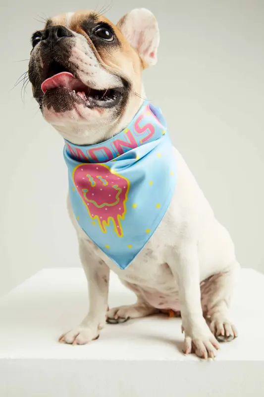Yaz Güneşi Köpek Bandana