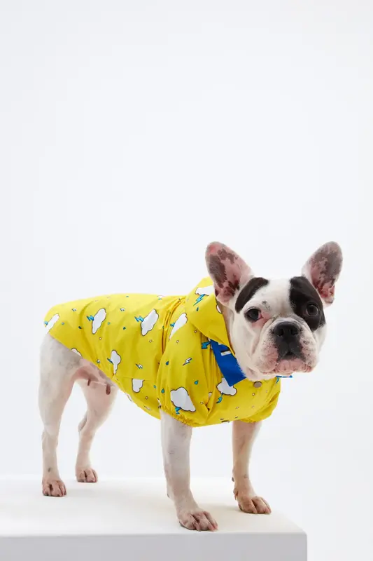 Yellow Cloud Köpek Yağmurluk