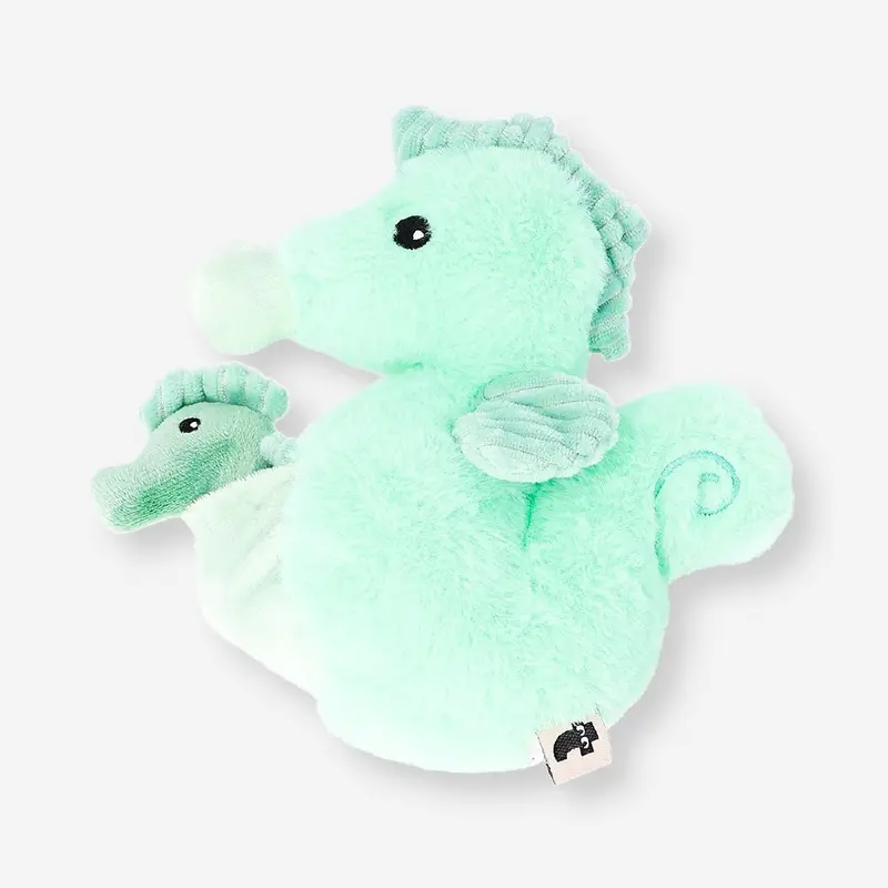 Yeşil Peluş Denizatı ve Yavrusu